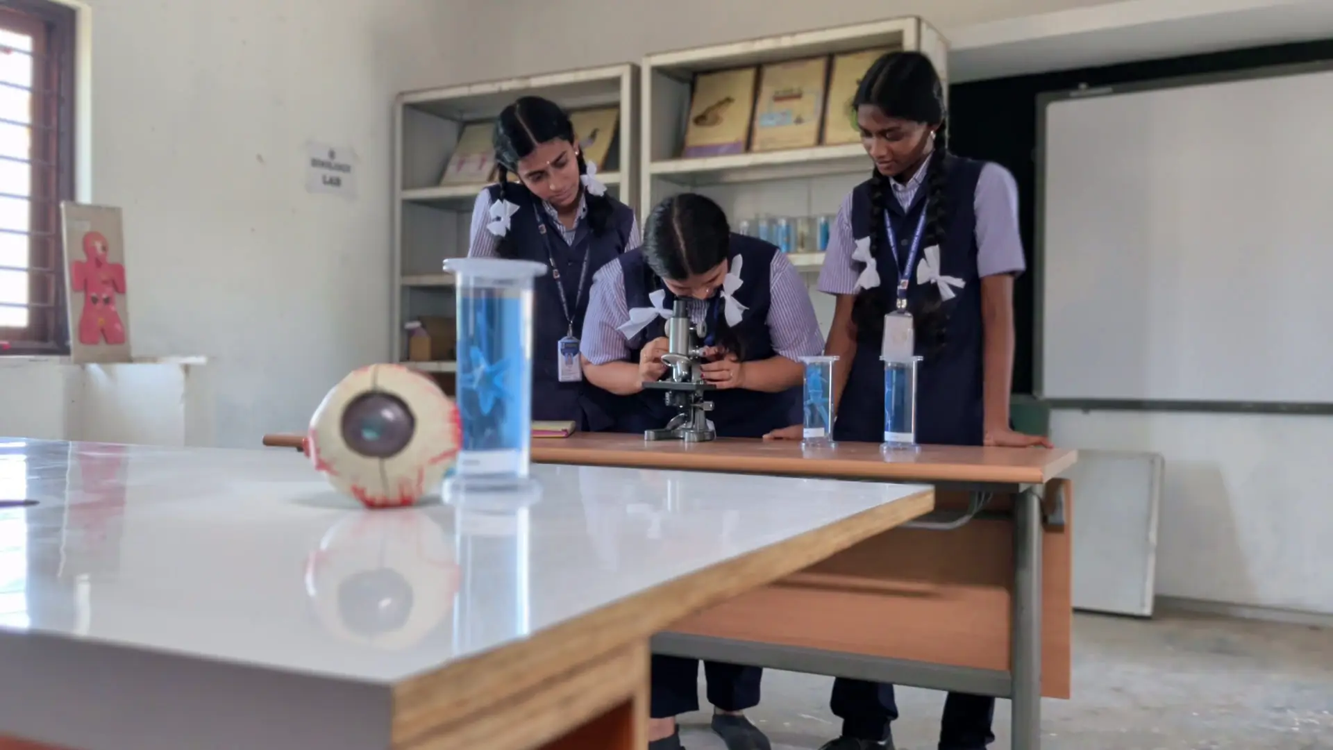 Lab